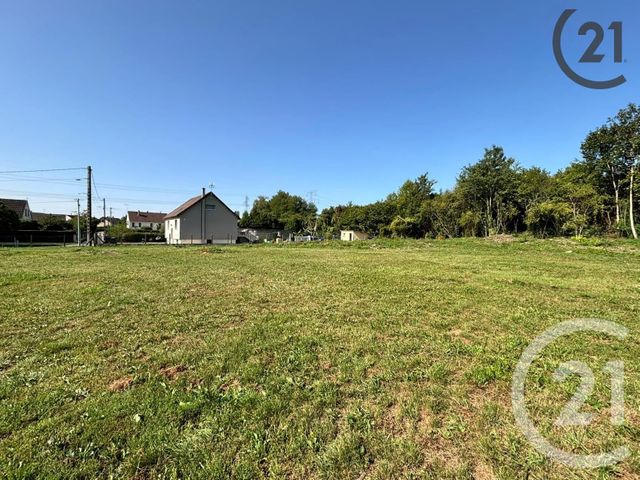 terrain à vendre - 2381.0 m2 - LECHELLE - 77 - ILE-DE-FRANCE - Century 21 Martinot Immobilier