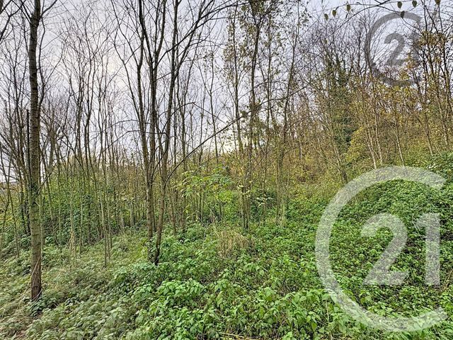 terrain à vendre - 5221.0 m2 - CHALAUTRE LA PETITE - 77 - ILE-DE-FRANCE - Century 21 Martinot Immobilier
