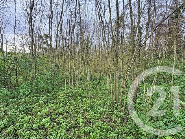 terrain à vendre - 5221.0 m2 - CHALAUTRE LA PETITE - 77 - ILE-DE-FRANCE - Century 21 Martinot Immobilier