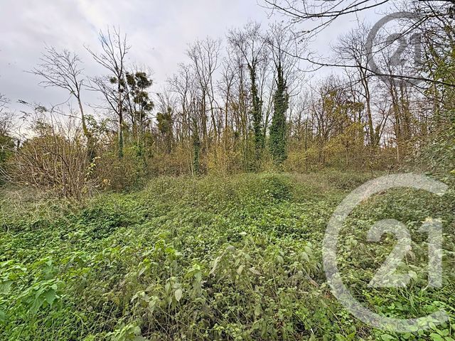 terrain à vendre - 5221.0 m2 - CHALAUTRE LA PETITE - 77 - ILE-DE-FRANCE - Century 21 Martinot Immobilier