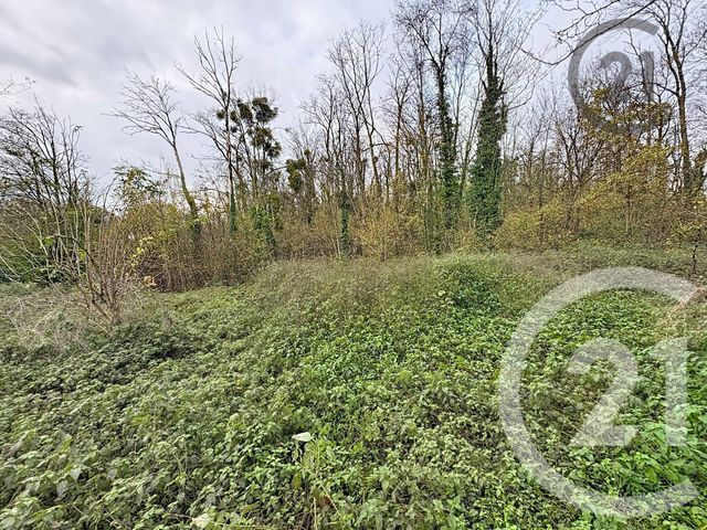 terrain à vendre - 5221.0 m2 - CHALAUTRE LA PETITE - 77 - ILE-DE-FRANCE - Century 21 Martinot Immobilier