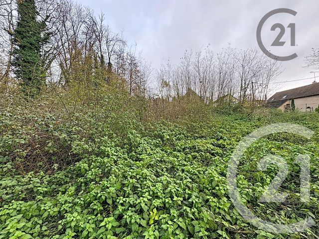 terrain à vendre - 5221.0 m2 - CHALAUTRE LA PETITE - 77 - ILE-DE-FRANCE - Century 21 Martinot Immobilier