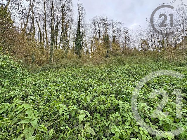 terrain à vendre - 5221.0 m2 - CHALAUTRE LA PETITE - 77 - ILE-DE-FRANCE - Century 21 Martinot Immobilier