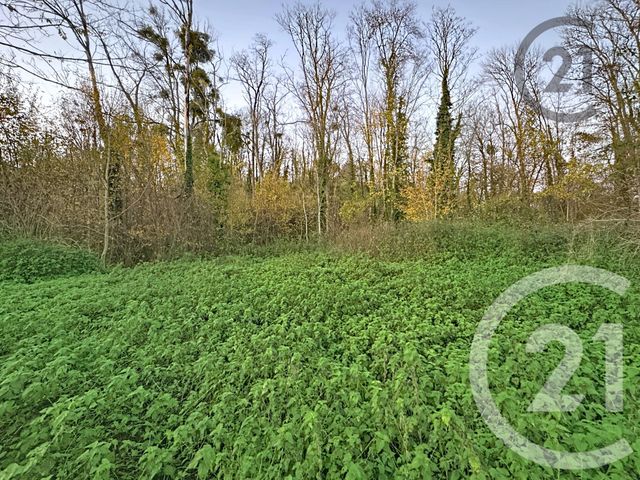 terrain à vendre - 5221.0 m2 - CHALAUTRE LA PETITE - 77 - ILE-DE-FRANCE - Century 21 Martinot Immobilier