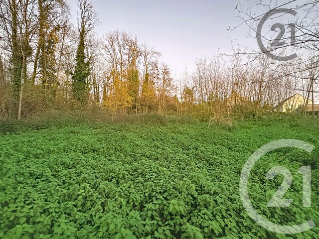 terrain à vendre - 5221.0 m2 - CHALAUTRE LA PETITE - 77 - ILE-DE-FRANCE - Century 21 Martinot Immobilier