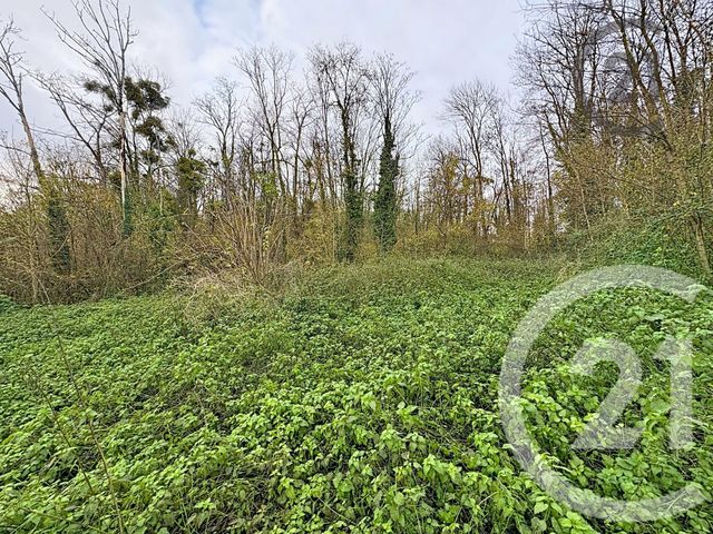 terrain à vendre - 5221.0 m2 - CHALAUTRE LA PETITE - 77 - ILE-DE-FRANCE - Century 21 Martinot Immobilier