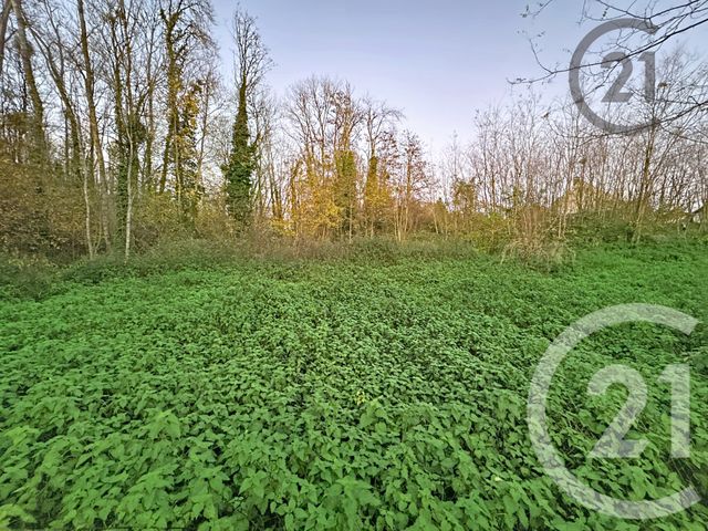 terrain à vendre - 5221.0 m2 - CHALAUTRE LA PETITE - 77 - ILE-DE-FRANCE - Century 21 Martinot Immobilier