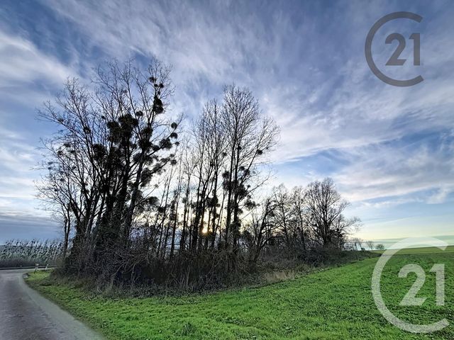 maison à vendre - 5 pièces - 173.6 m2 - COURTACON - 77 - ILE-DE-FRANCE - Century 21 Martinot Immobilier