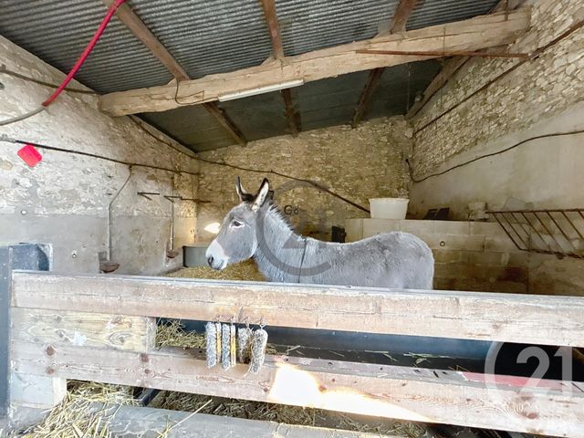 maison à vendre - 8 pièces - 310.94 m2 - ST HILLIERS - 77 - ILE-DE-FRANCE - Century 21 Martinot Immobilier