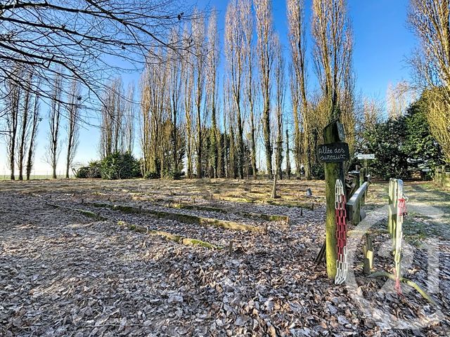 maison à vendre - 8 pièces - 310.94 m2 - ST HILLIERS - 77 - ILE-DE-FRANCE - Century 21 Martinot Immobilier